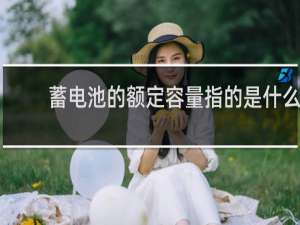 蓄电池的额定容量指的是什么