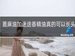 蓖麻油加迷迭香精油真的可以长头发吗