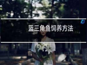 蓝三角鱼饲养方法（蓝三角鱼饲养的5大要点）