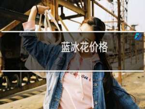 蓝冰花价格