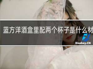 蓝方洋酒盒里配两个杯子是什么材质的