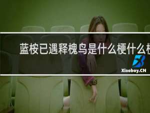 蓝桉已遇释槐鸟是什么梗什么梗