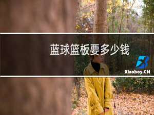 蓝球篮板要多少钱