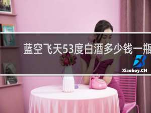 蓝空飞天53度白酒多少钱一瓶