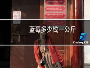 蓝莓多少钱一公斤