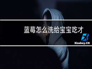 蓝莓怎么洗给宝宝吃才干净（蓝莓怎么洗）