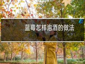 蓝莓怎样泡酒的做法