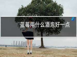 蓝莓用什么酒泡好一点