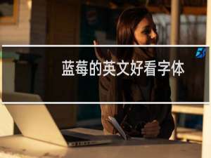 蓝莓的英文好看字体（蓝莓的英文）