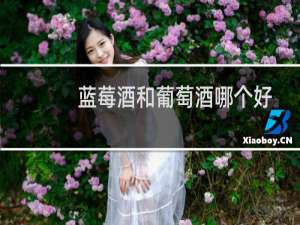 蓝莓酒和葡萄酒哪个好