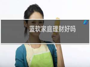 蓝软家庭理财好吗