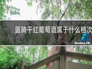 蓝骑干红葡萄酒属于什么档次