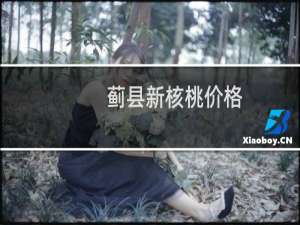 蓟县新核桃价格