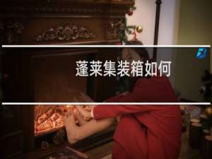 蓬莱集装箱如何