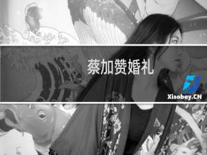 蔡加赞婚礼
