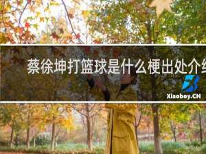 蔡徐坤打篮球是什么梗出处介绍