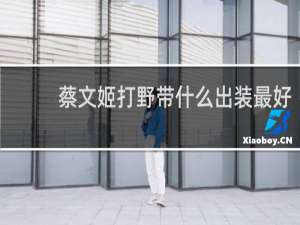 蔡文姬打野带什么出装最好