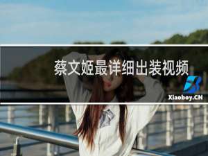 蔡文姬最详细出装视频