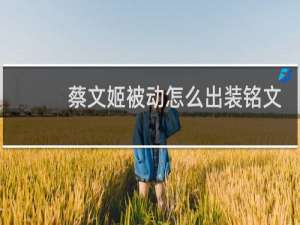 蔡文姬被动怎么出装铭文