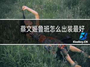 蔡文姬鲁班怎么出装最好