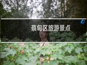蔡甸区旅游景点