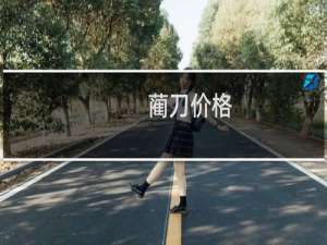 蔺刀价格
