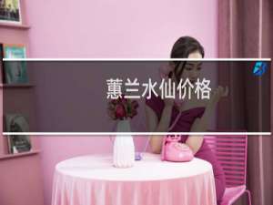 蕙兰水仙价格