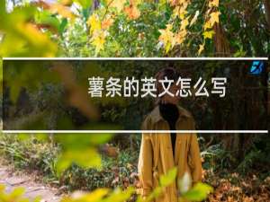 薯条的英文怎么写