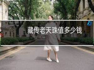 藏传老天珠值多少钱