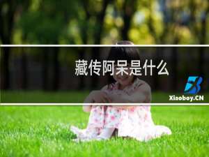 藏传阿呆是什么