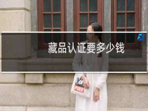 藏品认证要多少钱