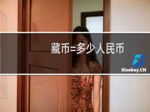藏币=多少人民币