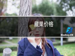 藏果价格