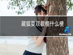 藏狐耍双截棍什么梗