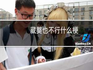 藏獒也不行什么梗