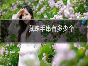 藏珠手串有多少个