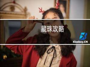 藏珠攻略