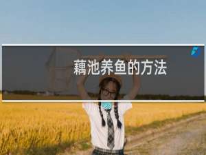 藕池养鱼的方法