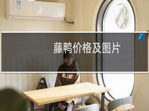 藤鸭价格及图片