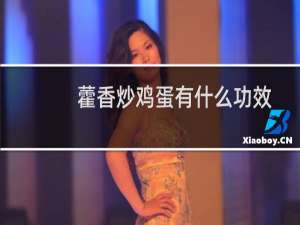 藿香炒鸡蛋有什么功效