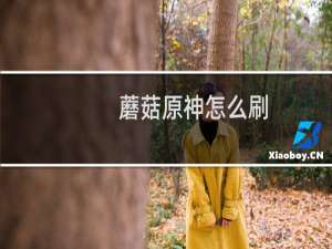 蘑菇原神怎么刷