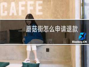 蘑菇街怎么申请退款（蘑菇街怎么测脸型）