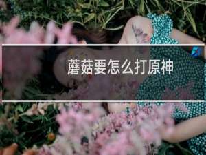 蘑菇要怎么打原神