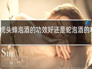 虎头蜂泡酒的功效好还是蛇泡酒的功效好