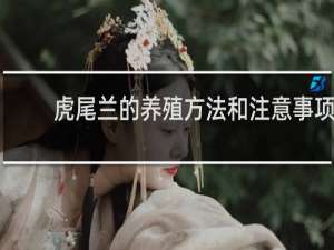 虎尾兰的养殖方法和注意事项