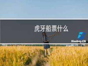虎牙船票什么