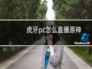 虎牙pc怎么直播原神