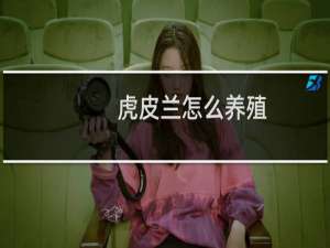 虎皮兰怎么养殖