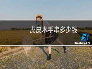 虎皮木手串多少钱