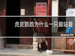虎皮鹦鹉为什么一只脚站着